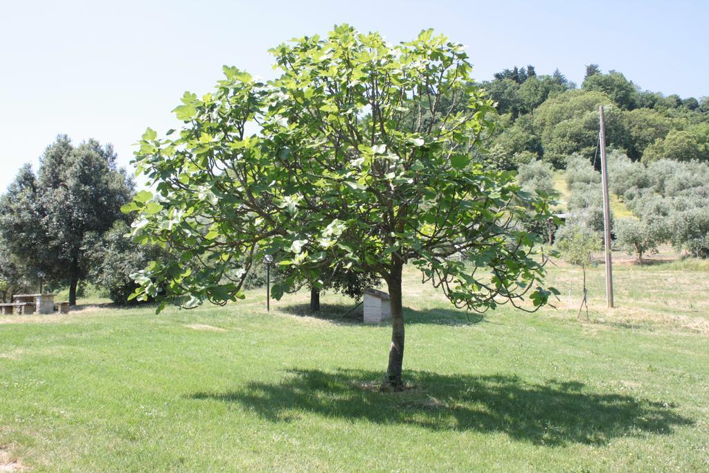 Il Vallone Di Melezzole Villa Ngoại thất bức ảnh